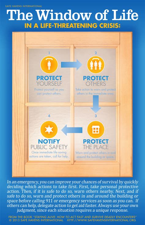 Window Of Life Poster Safe Havens International Store