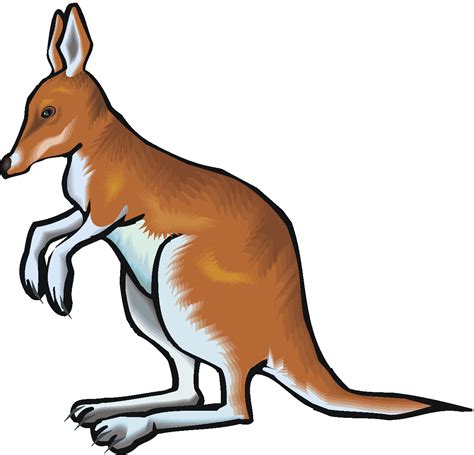 Kangaroo Clip Art Clip Art Library
