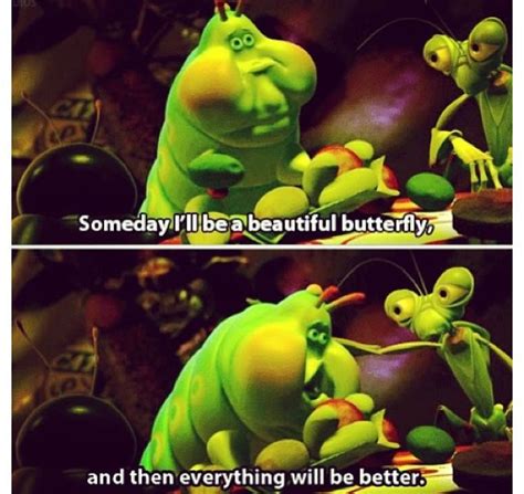 🐛🐛🐛🐛 Really Funny Pictures A Bugs Life Beautiful Butterflies