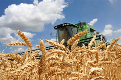 Ukraine Threshes Over 678 Million Tonnes Of Grains And Legumes Nov