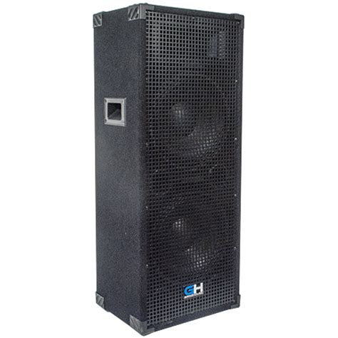 Affordable Dual 12 Inch Pa Dj Cabinet Mains For Musicians On A Budget