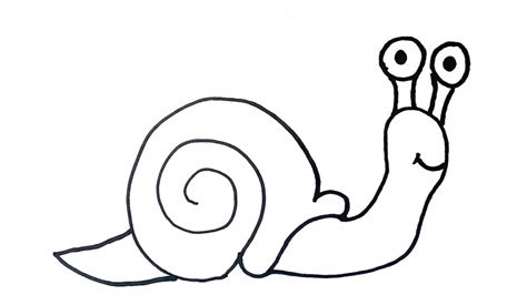 How To Draw A Snail Easy Animal Drawings Youtube