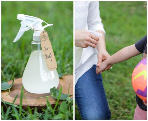 Diy Homemade Bug Spray Repellent Live Simply