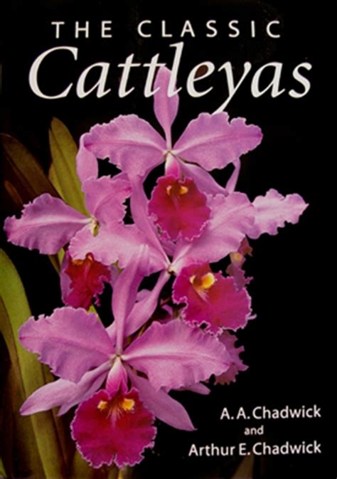 The Classic Cattleyas Book By Aa Chadwick And A E Chadwick Orchidweb