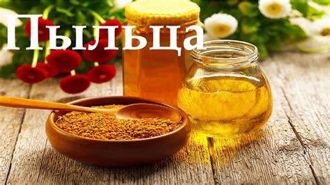 Пыльца пчелиная - полезные свойства, норма в день, как принимать