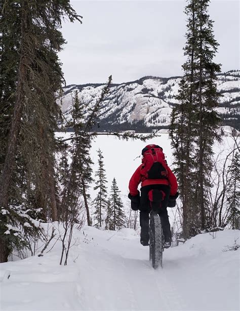 Yukon Fat Bike Tours Open Up New Winter Market Cbc News