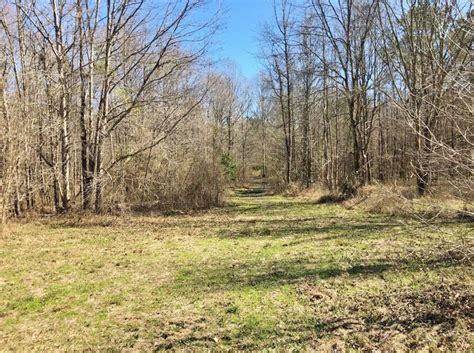 185 Acres Hunting Timber Land For Sale Copiah County Ms Realtree