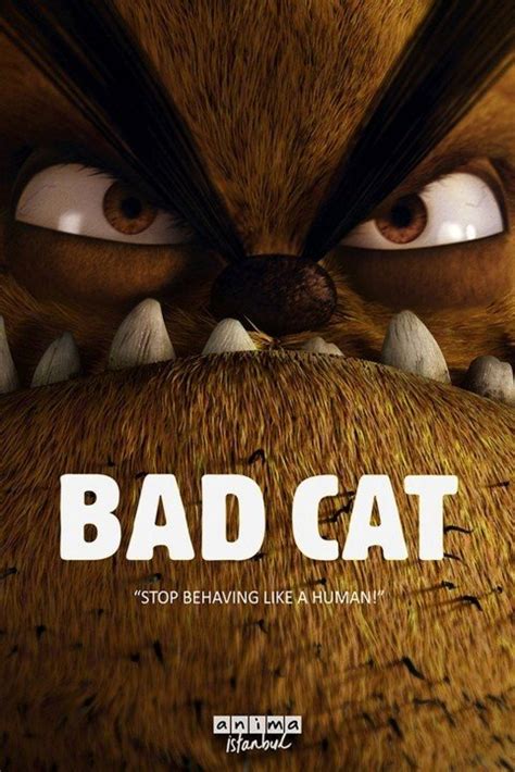 Watch Bad Cat 2016 Kötü Kedi Serafettin Download Hd Free