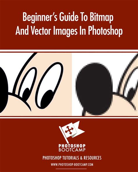 Beginners Guide To Bitmap And Vector Images In Photoshop Learn