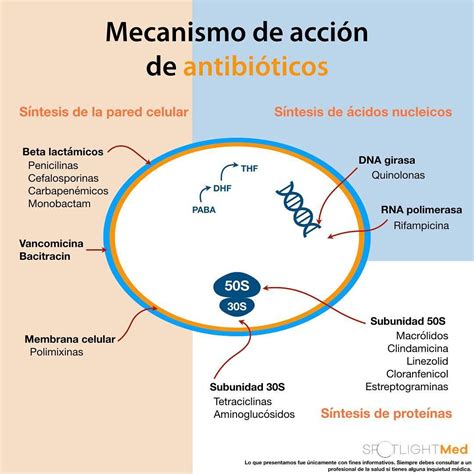 Mecanismo De Acao Dos Antibioticos