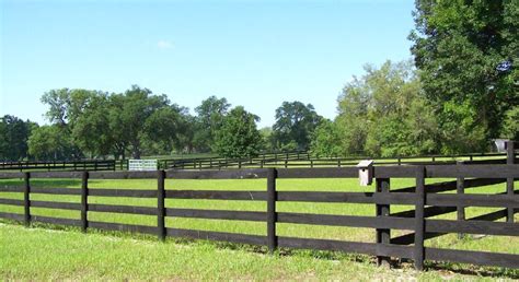 5 Best Horse Fence Options For Your Paddock Horsey Hooves