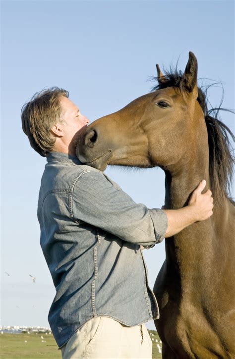 Horses And Humans In Harmony