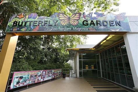 Zoo negara malaysia | kuala lumpur zoo malaysia's national zoo with over 2000+ animals. Zoo Negara Malaysia Ticket | Ticket2u