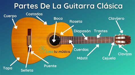 Partes De La Guitarra Clásica Acústica Y Eléctrica