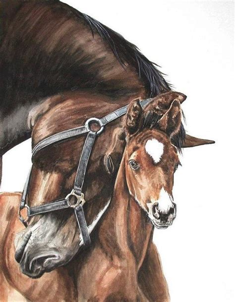 Horse And Foal Watercolor Original Artwork By Worldofshadows