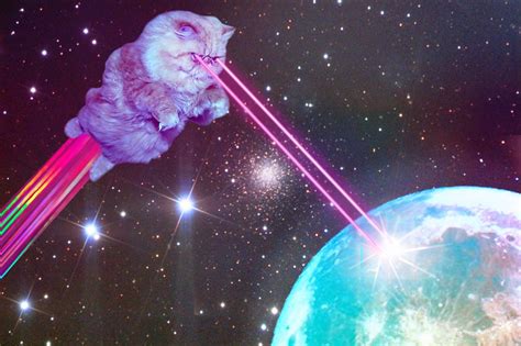 Hipster Galaxy Cat Wallpapers Top Free Hipster Galaxy