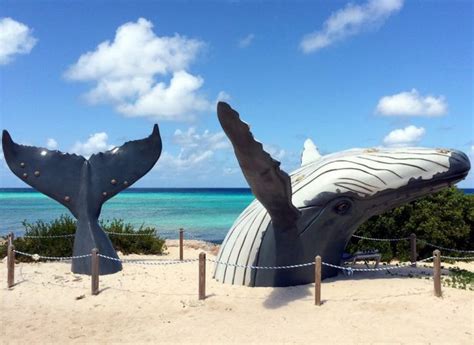 Best Things To Do In Turks And Caicos Turks Caicos Vacation