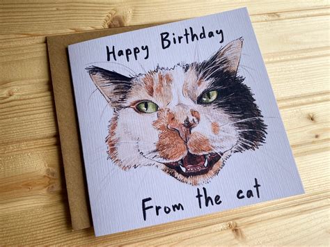 Happy Birthday From The Cat Greetings Card Calico Catkitten Etsy