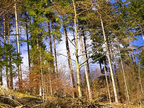 Planinsko Polje Stock Photos Pictures And Royalty Free Images Istock