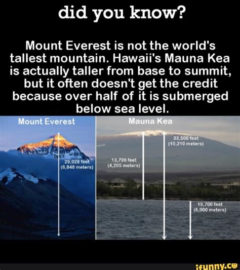 Did You Know Mount Everest Is Not The Worlds Tallest Mountain Hawaii