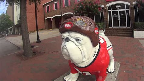 Hunting For Bulldogs In Downtown Athens Ga Youtube