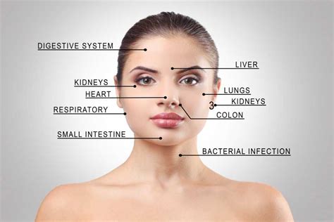 Ayurvedic Face Mapping For Acne Therapy Nyc