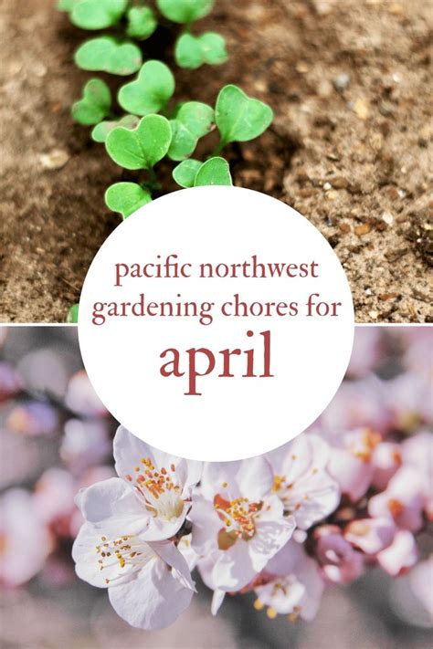 April Gardening Chores For The Pacific Northwest Northwest Edible