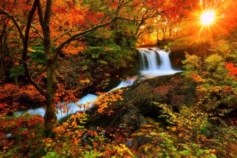 10 Best Beautiful Fall Scenery Images Full Hd 1080p For Pc Desktop 2023