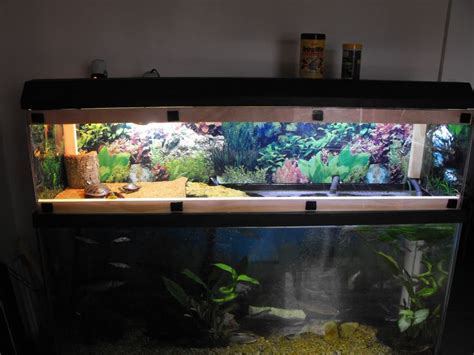 My Gallon Eastern Painted Turtle Set Up With Homemade Turtle Topper Indoor Setups Aquariums