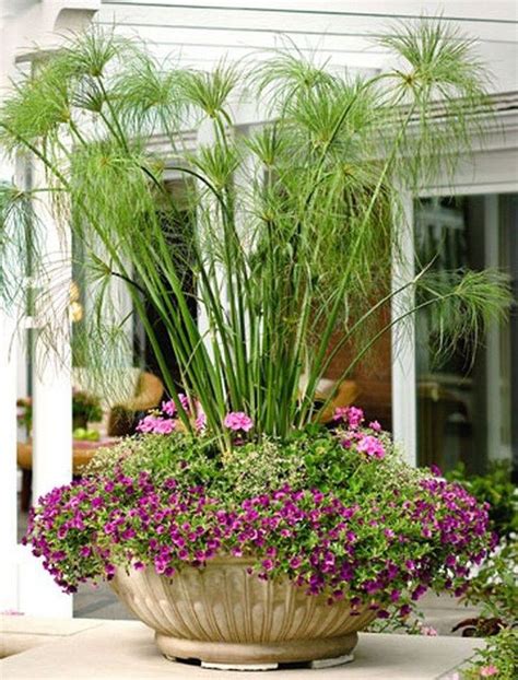 50 Easy Summer Container Garden Flowers Ideas Container