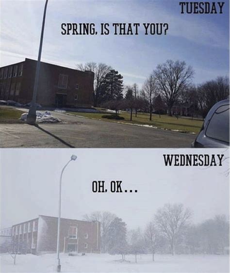 These Memes Will Help You Celebrate That Spring Has Sprung