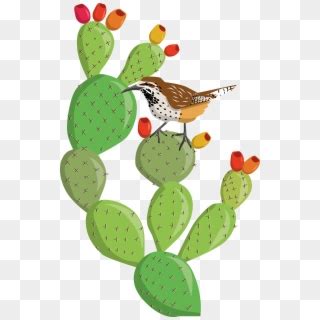 The plant?s edible uses have been tied to the christopher columbus and the mayan. Prickly Pear Mt Dew, HD Png Download - 640x480(#280411 ...