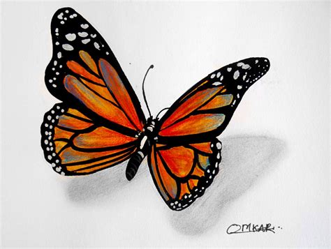 butterfly painting | Butterfly drawing, Butterfly sketch, Easy butterfly drawing