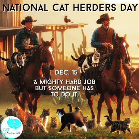 National Cat Herders Day Cats Cat Wisdom 101
