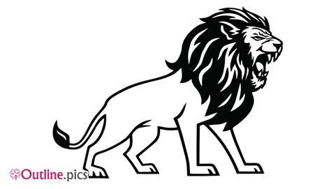 Lion Drawing Outline Drawing Images Pictures