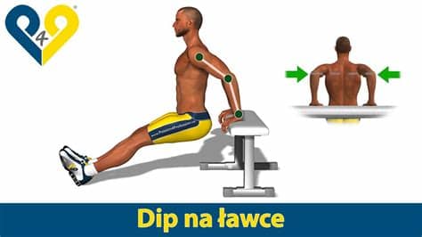 También es uno de los ejercicios esenciales para aumentar el tamaño de bíceps y tríceps. Triceps odwrotne pompki - YouTube