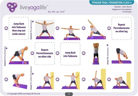 Iyengar Yoga Foundation Complete Set Classes 1 To 7
