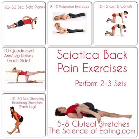 Exercises incorporating a combination of strengthening, stretching, and aerobic conditioning are a crucial component in sciatica treatment and pain finally, some forms of low impact cardiovascular exercise, such as walking, swimming or pool therapy are other great options for pain relief. Pin on Back pain relief