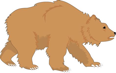 Grizzly Bear Bear Clip Art Grizzly Clipart For You Image 2