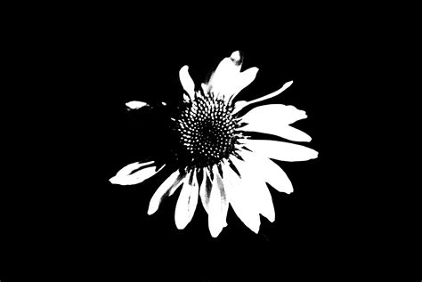 We will use 5 simple steps to create out this design. Positive, negative space -- graphic design