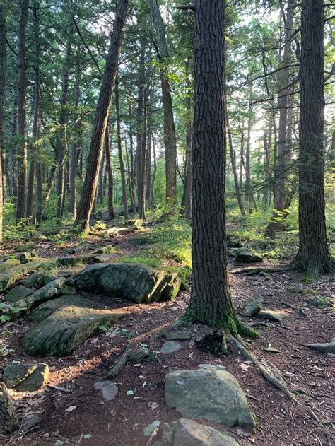 Escape To The Remote And Peaceful Peoples State Forest In Connecticut