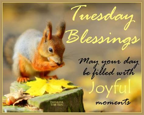 Tuesday Blessings Tuesday Humor Tuesday Quotes Funny Tuesday