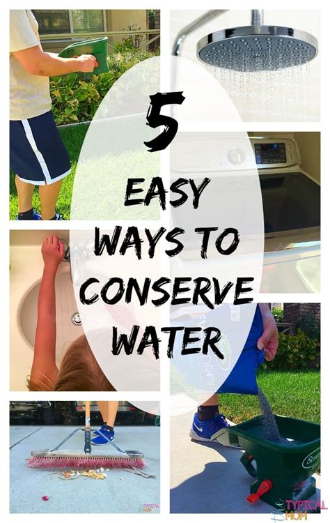 5 Ways To Conserve Water · The Typical Mom
