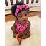 Pin By On Babies/ Families  Cute Baby Girl Black Babies Real