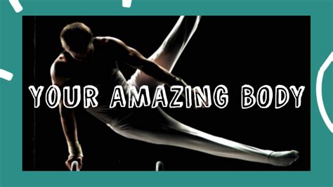 Your Amazing Body By Shahad Sh