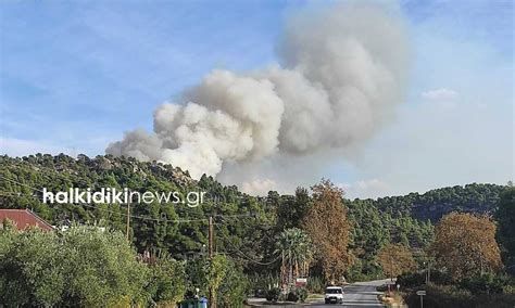 Εξαιτίας των πυκνών καπνών από τη φωτιά υπάρχουν πληροφορίες για εκκένωση τώρα του κτιρίου της υποδιεύθυνσης μεταγωγών. Φωτιά ΤΩΡΑ στη Χαλκιδική: Καίγεται το πευκοδάσος της Νικήτης - fotia tora sti chalkidiki ...