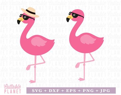 Summer Flamingo Svg Dxf Eps Png  Flamingo Sunglasses Etsy