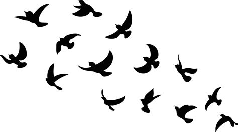 Flock Of Birds Silhouette Vector Art Icons And Graphics For Free Download