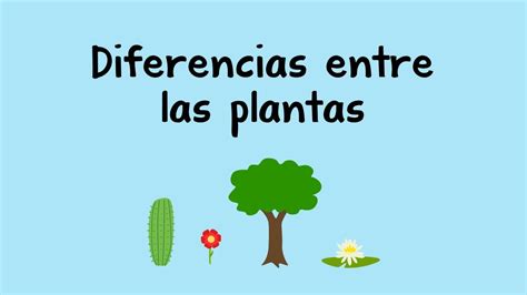 Cu Les Son Las Diferencias Entre Las Plantas Con Y Sin Flores Es