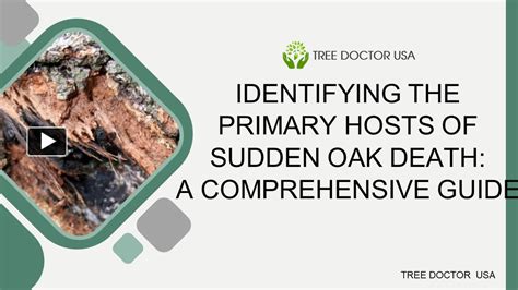 Ppt Identifying The Primary Hosts Of Sudden Oak Death A